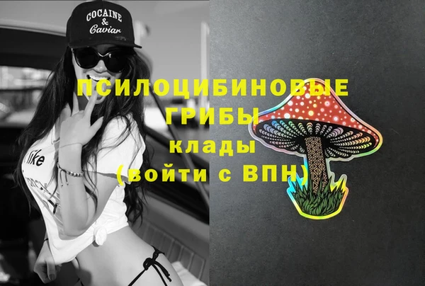 амф Каменск-Шахтинский
