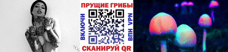 Псилоцибиновые грибы MAGIC MUSHROOMS  Купить закладки  Ельня 
